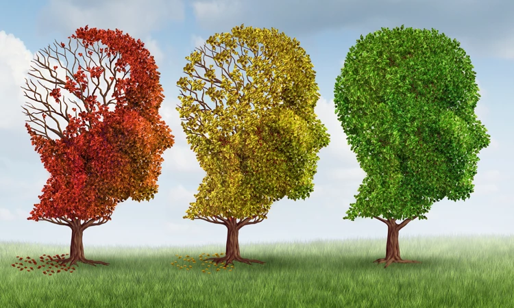 Έλληνες ερευνητές «φρενάρουν» τη νόσο Αλτσχάιμερ